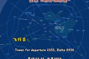 机震🤣尼克斯球员返航纽约途中庆祝 飞行员说整架飞机都在摇晃